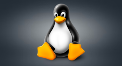 VLC for Linux